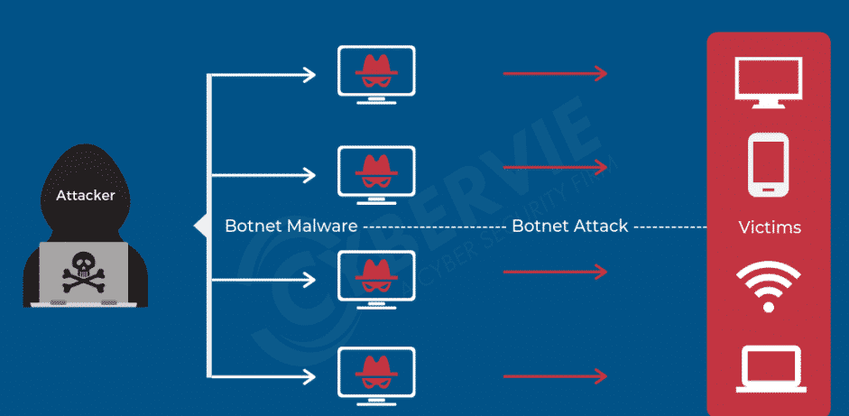 How to Protect Your IoT Devices From Botnet Attacks Cyber